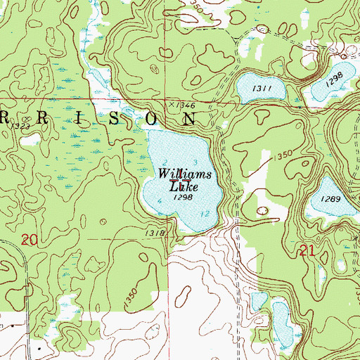 Topographic Map of Williams Lake, MN