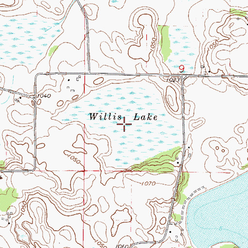 Topographic Map of Willis Lake, MN