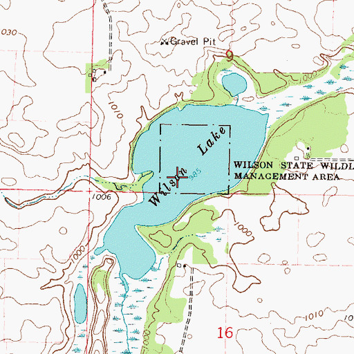 Topographic Map of Wilson Lake, MN