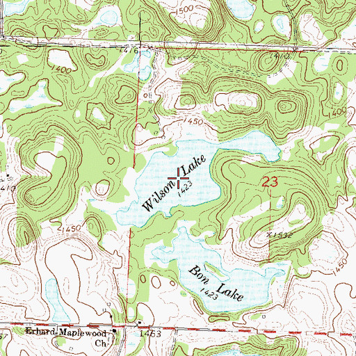 Topographic Map of Wilson Lake, MN