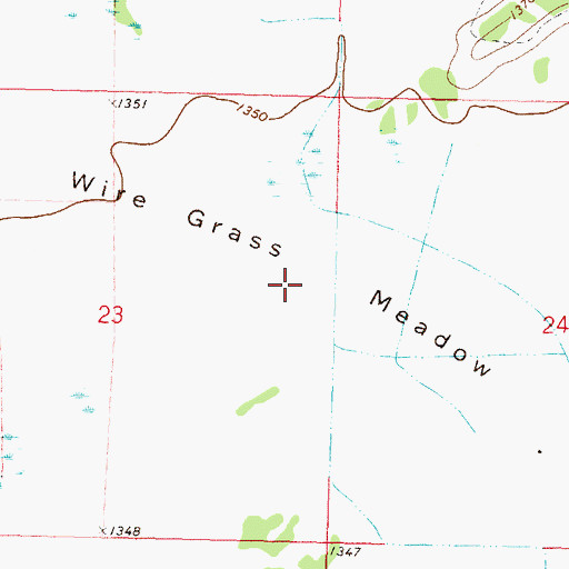 Topographic Map of Wire Grass Meadow, MN