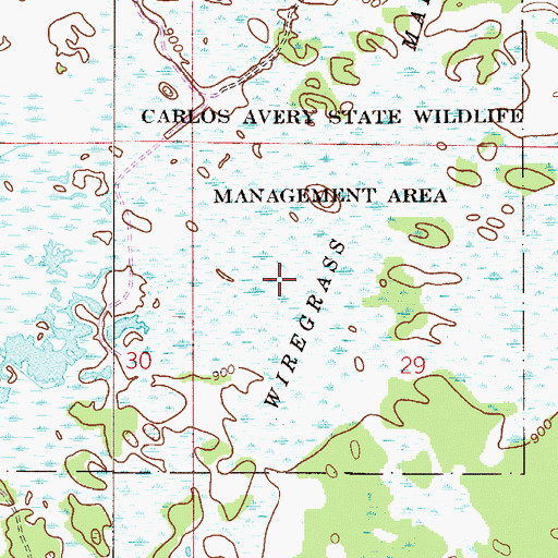 Topographic Map of Wiregrass Marsh, MN