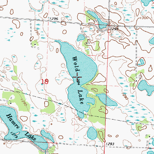 Topographic Map of Wold Lake, MN
