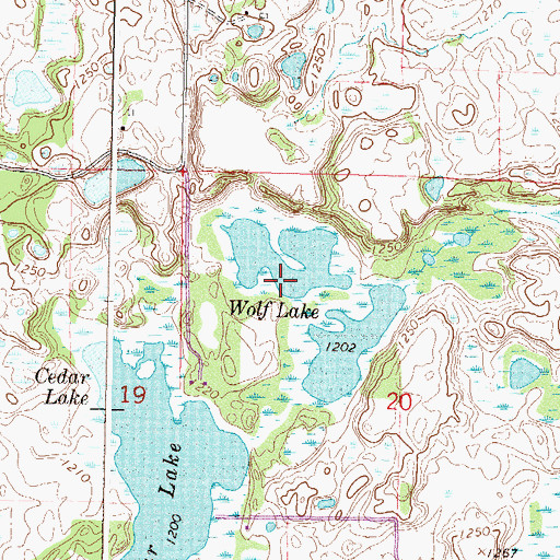 Topographic Map of Wolf Lake, MN