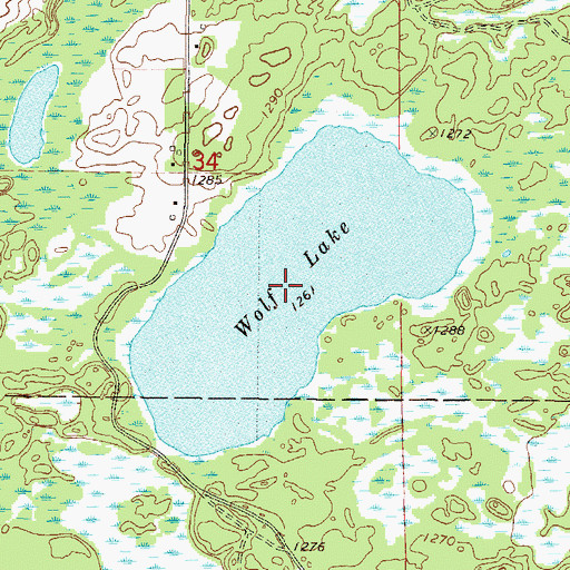 Topographic Map of Wolf Lake, MN