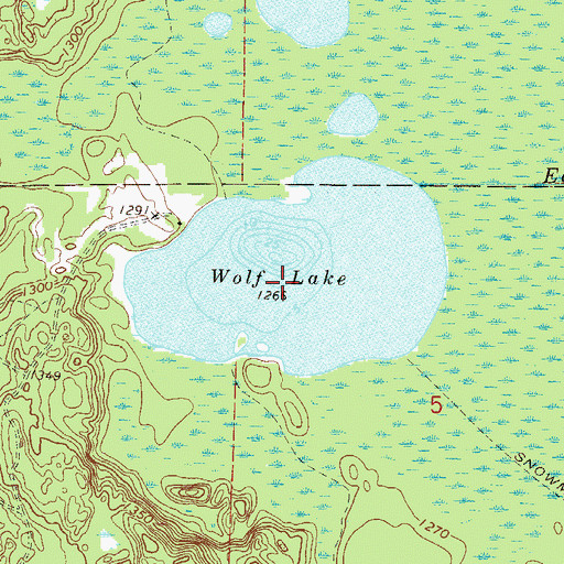 Topographic Map of Wolf Lake, MN