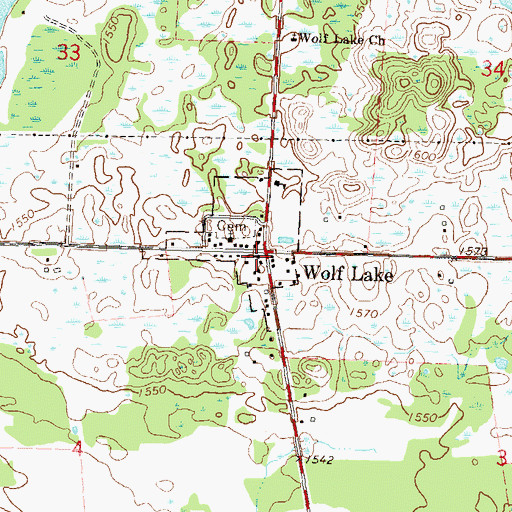 Topographic Map of Wolf Lake, MN