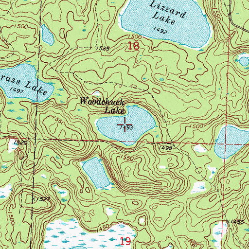 Topographic Map of Woodchuck Lake, MN