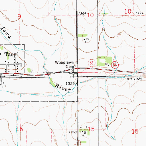 Topographic Map of Woodlawn Cemetery, MN
