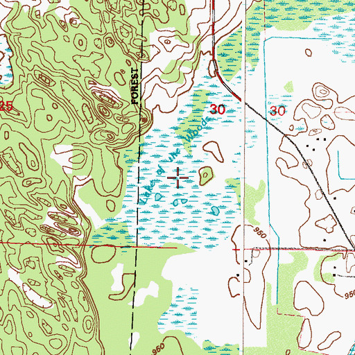 Topographic Map of Lake of the Woods, MN