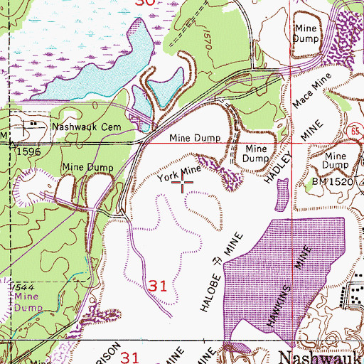 Topographic Map of York Mine, MN