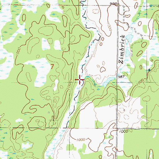 Topographic Map of Zimbrick Brook, MN