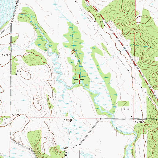 Topographic Map of Little Swan River, MN