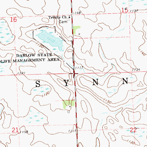 Topographic Map of Township of Synnes, MN
