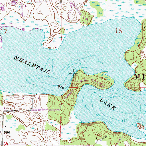 Topographic Map of Whaletail Lake, MN