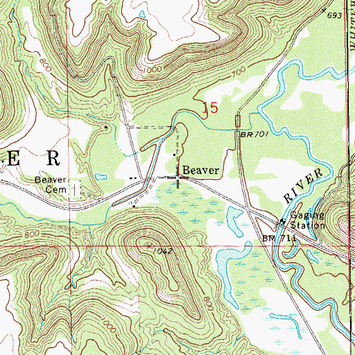 Topographic Map of Beaver, MN