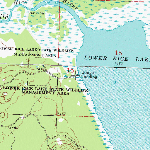 Topographic Map of Bonga Landing, MN