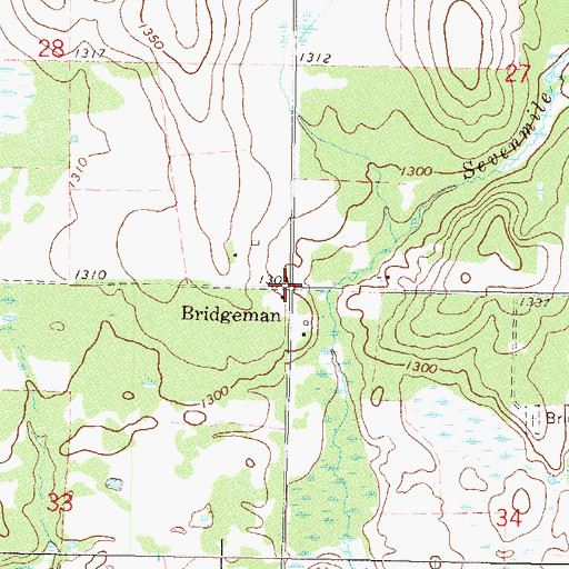 Topographic Map of Bridgeman, MN