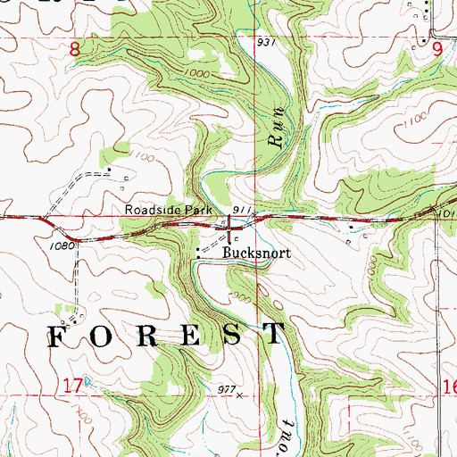 Topographic Map of Bucksnort, MN