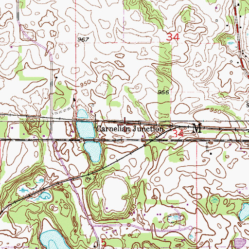 Topographic Map of Carnelian Junction, MN