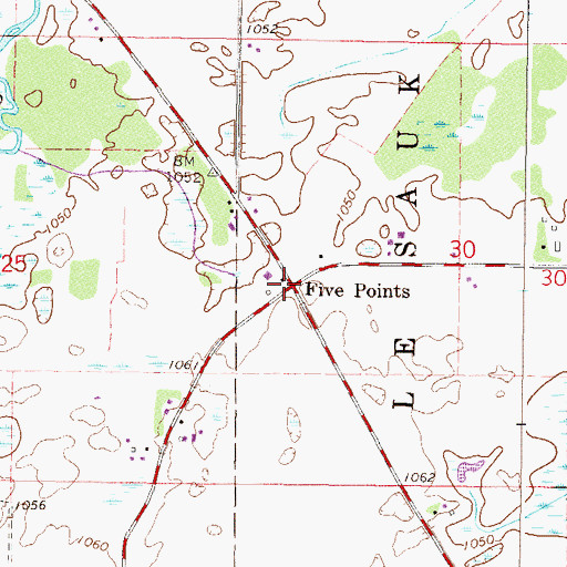 Topographic Map of Five Points, MN