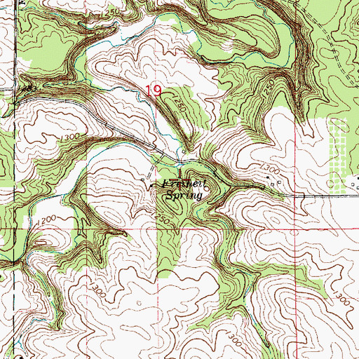 Topographic Map of Freiheit Spring, MN