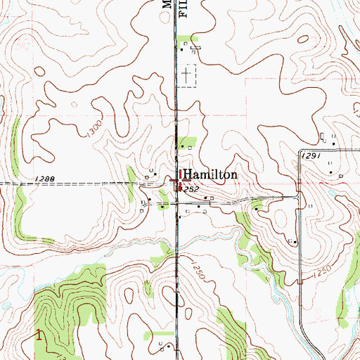 Topographic Map of Hamilton, MN