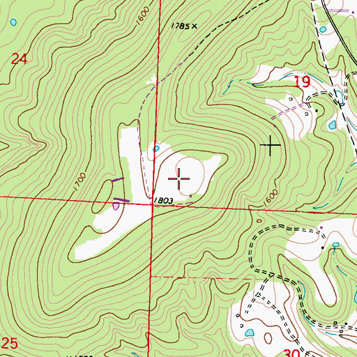 Topographic Map of Wasburn Mountain, AR