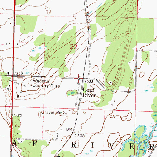 Topographic Map of Leaf River, MN