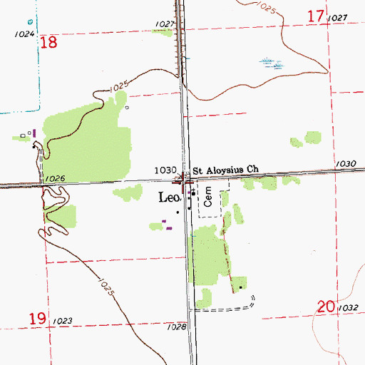 Topographic Map of Leo, MN