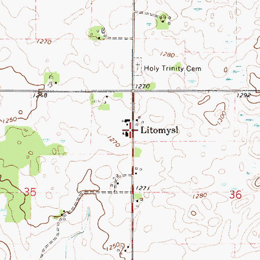 Topographic Map of Litomysl, MN