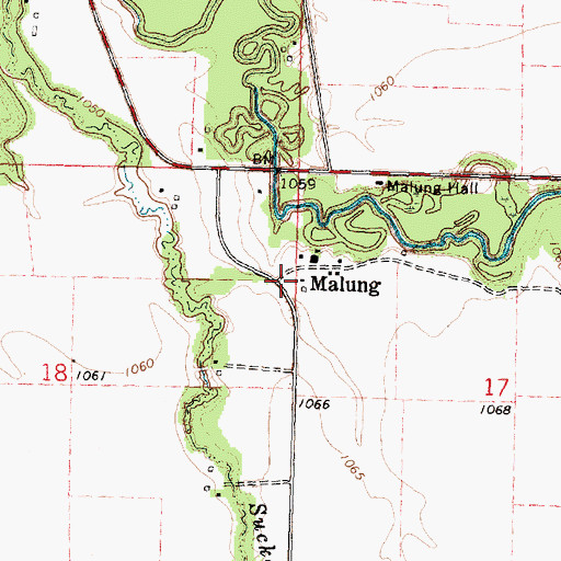 Topographic Map of Malung, MN