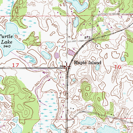 Topographic Map of Maple Island, MN