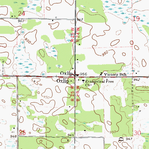 Topographic Map of Oxlip, MN