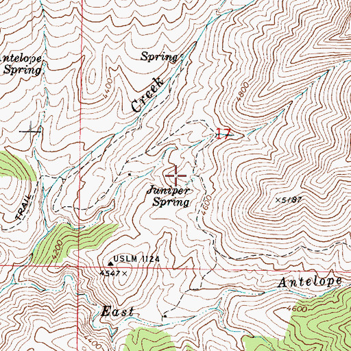 Topographic Map of Juniper Spring, AZ