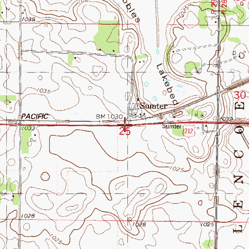 Topographic Map of Sumter, MN