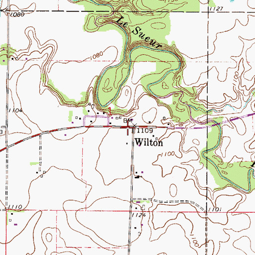 Topographic Map of Wilton, MN