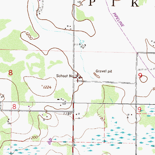 Topographic Map of School Number 37, MN