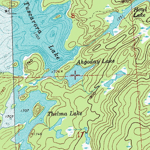 Topographic Map of Ahgoday Lake, MN