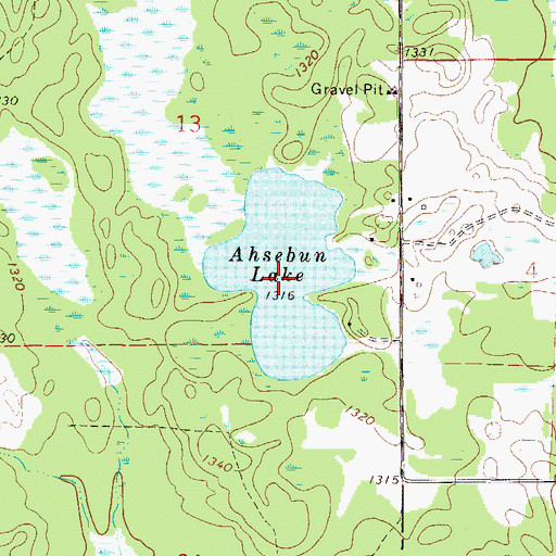 Topographic Map of Ahsebun Lake, MN