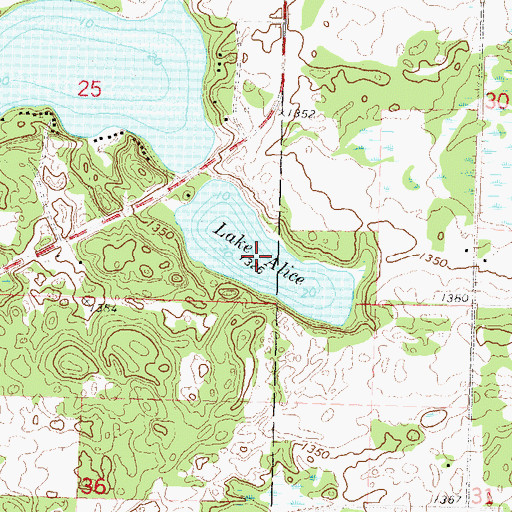 Topographic Map of Lake Alice, MN