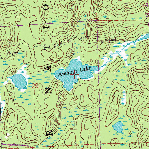 Topographic Map of Ambush Lake, MN