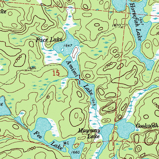 Topographic Map of Amimi Lake, MN