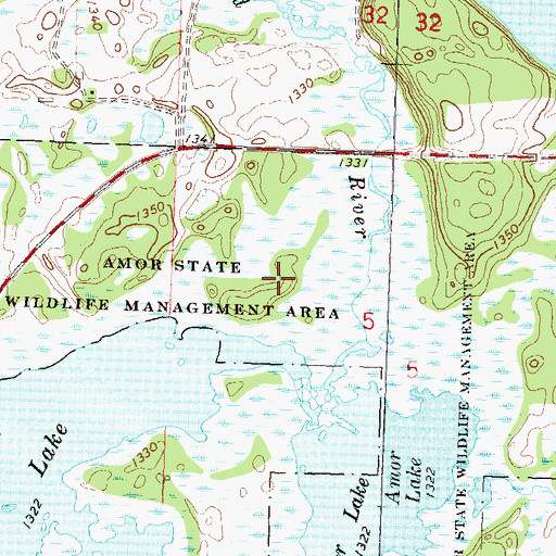 Topographic Map of Amor State Wildlife Management Area, MN