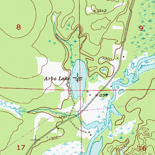 Topographic Map of Arbo Lake, MN