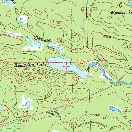 Topographic Map of Assinika Lake, MN