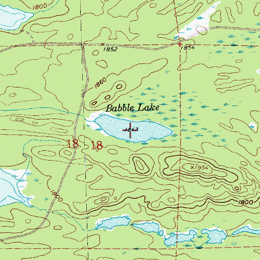 Topographic Map of Babble Lake, MN