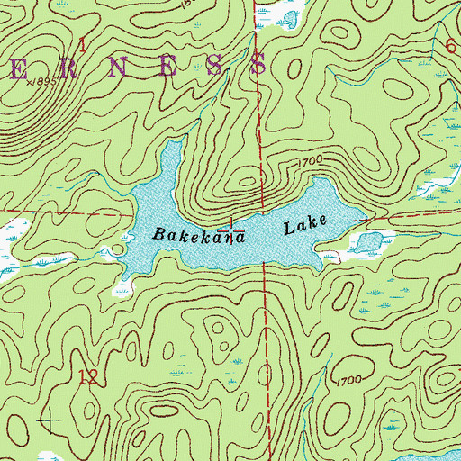 Topographic Map of Bakekana Lake, MN