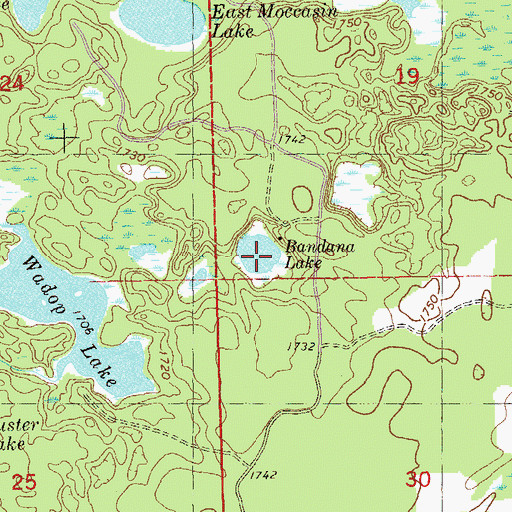 Topographic Map of Bandana Lake, MN
