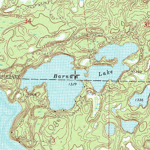 Topographic Map of Barnum Lake, MN